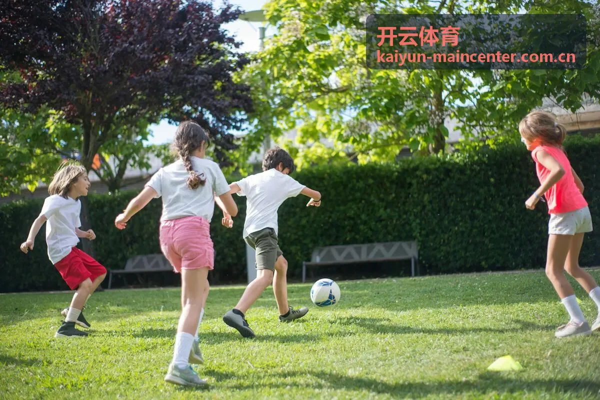 开云体育视频集锦专区背景